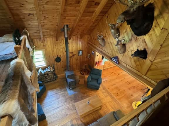 Halls Corner Lodge - Peaceful Woodland Escape